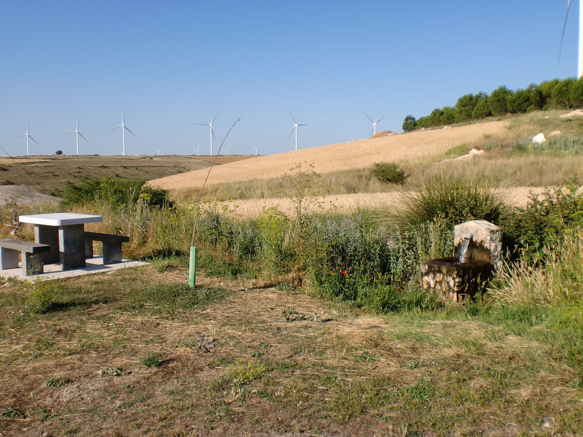 Ruta a la fuente de La Pedraja