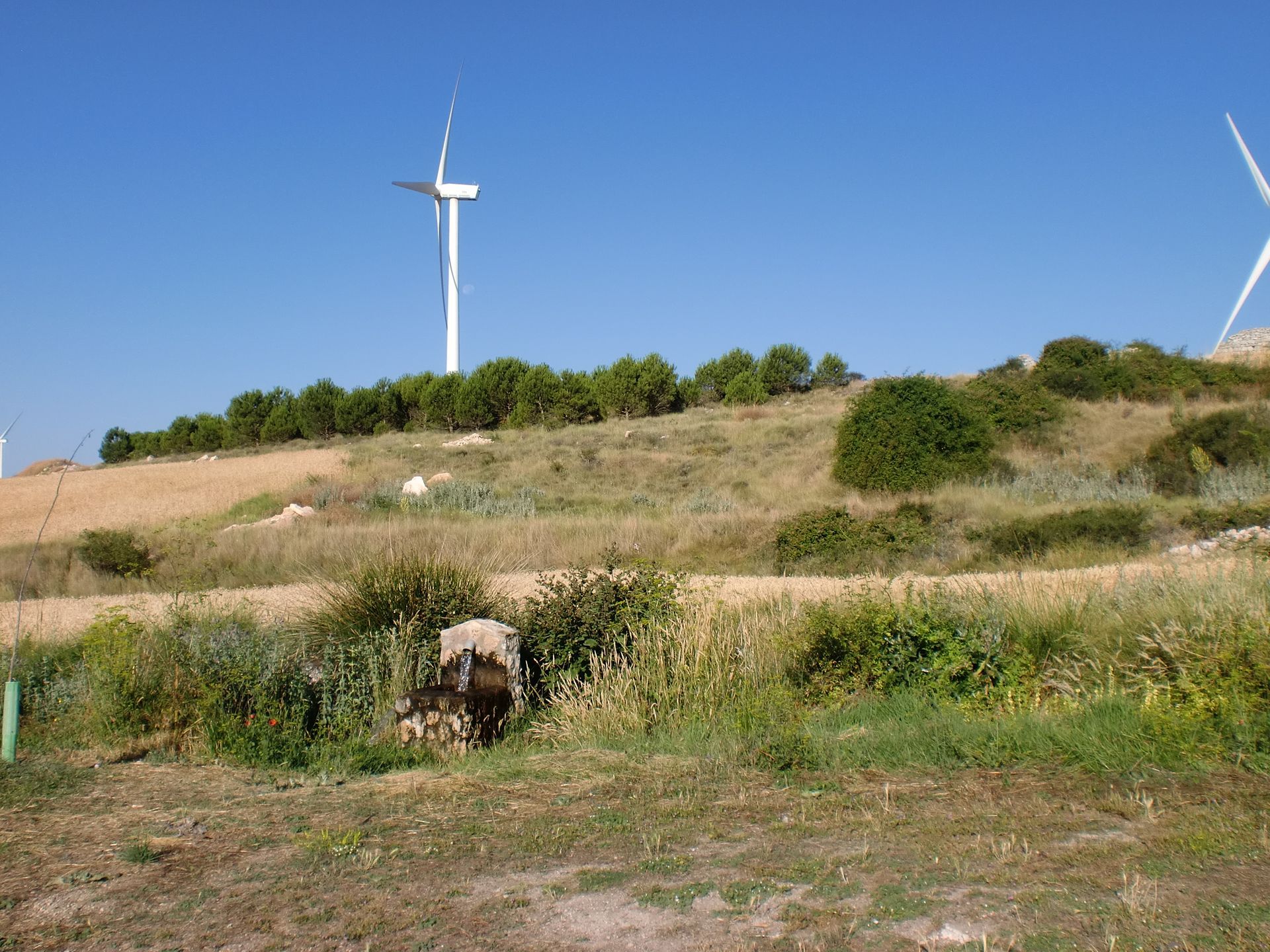Ruta a la fuente de La Pedraja